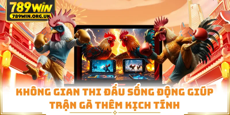Không gian thi đấu sống động giúp trận gà thêm kịch tính